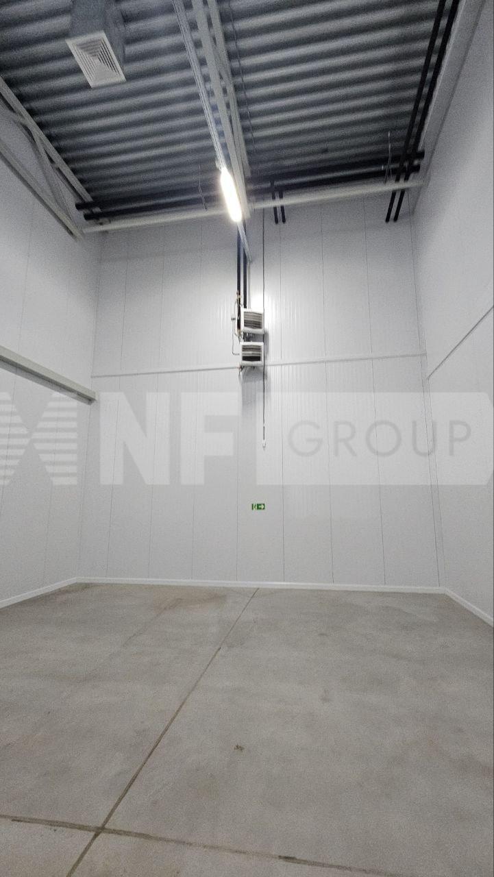 NF Group