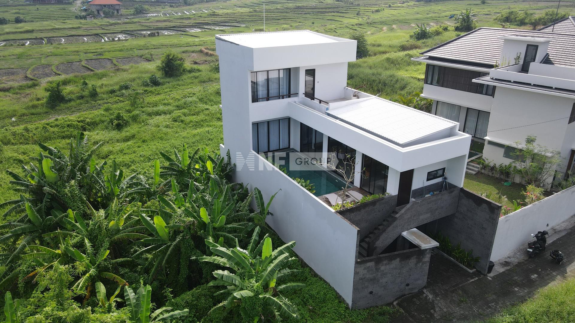 Modern 3 BD Freehold with Rice Fields on Cemagi area