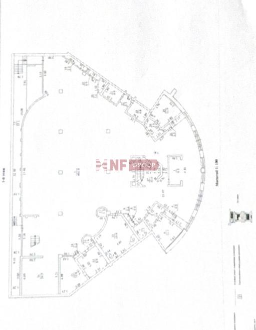 NF Group