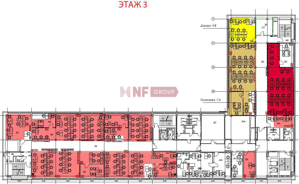 NF Group