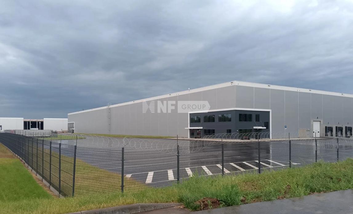 NF Group