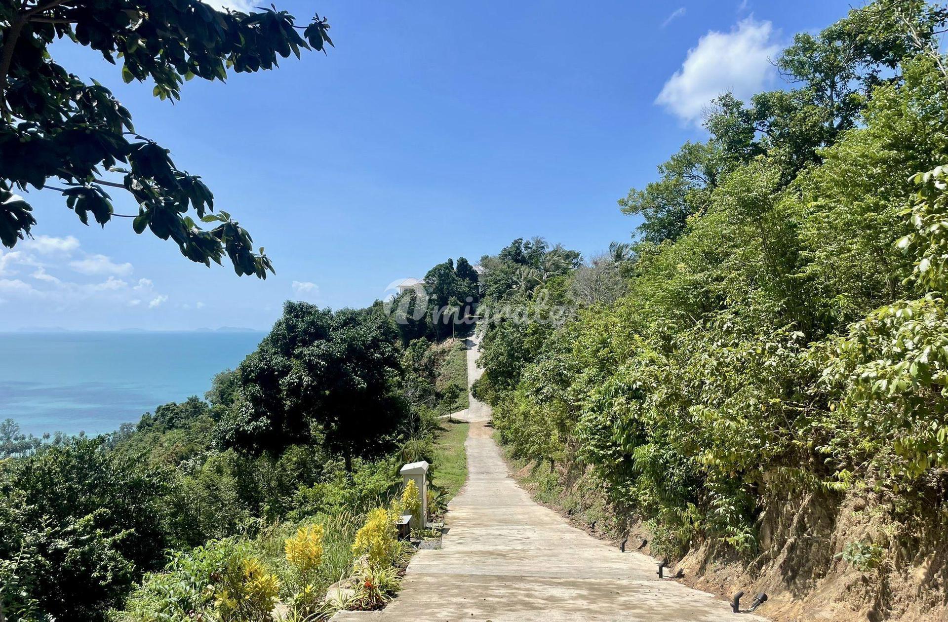 Земельный участок на продажу (925 SQ.M. Sunset Sea View Land for Sale Angthong)