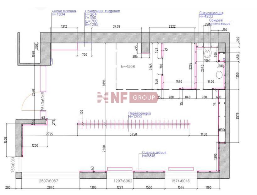 NF Group