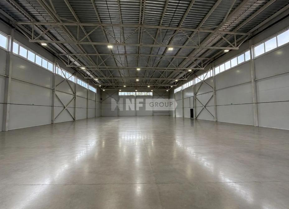 NF Group