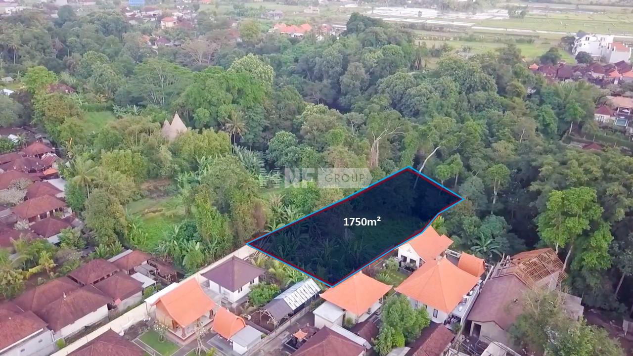 Leasehold Land Opportunity with River Views in Growing Buwit