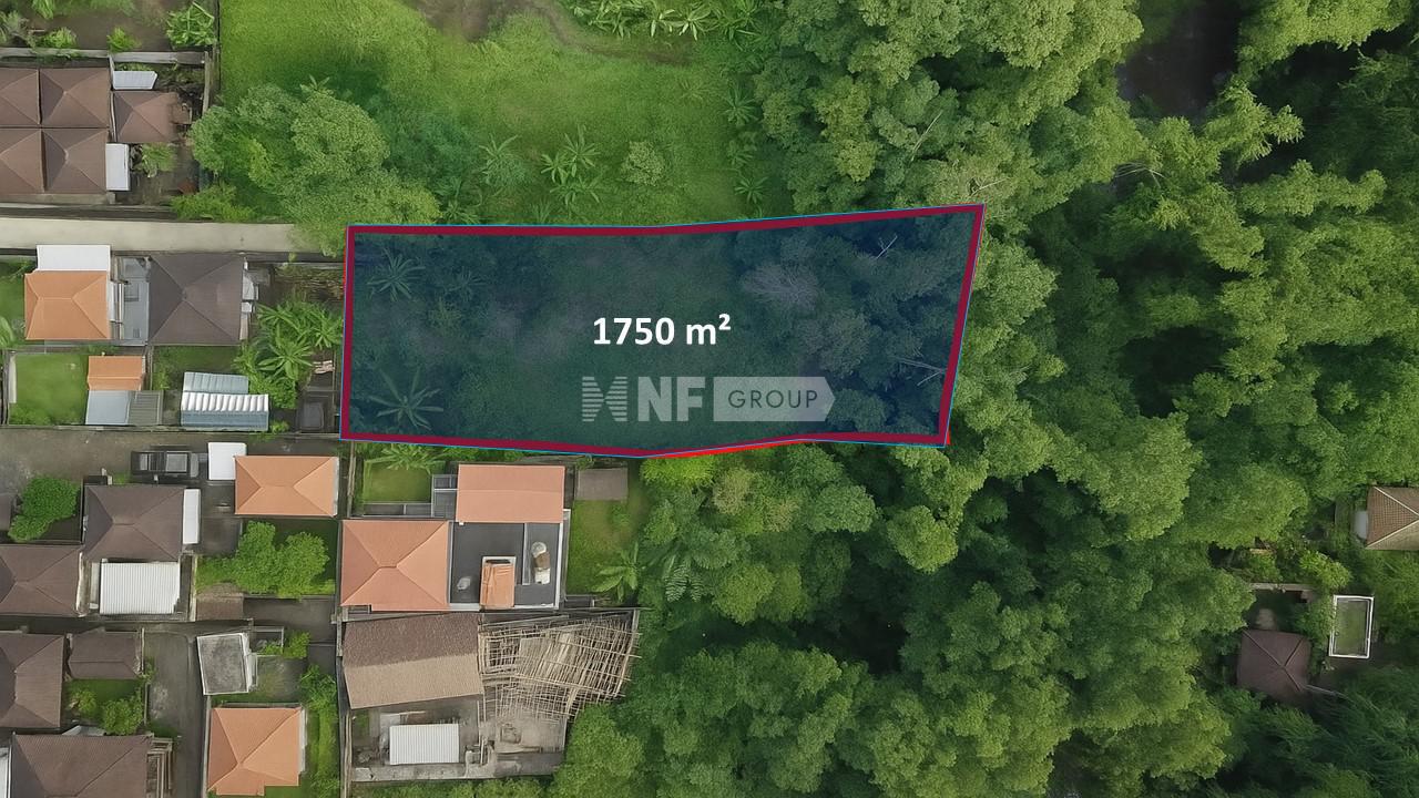 NF Group