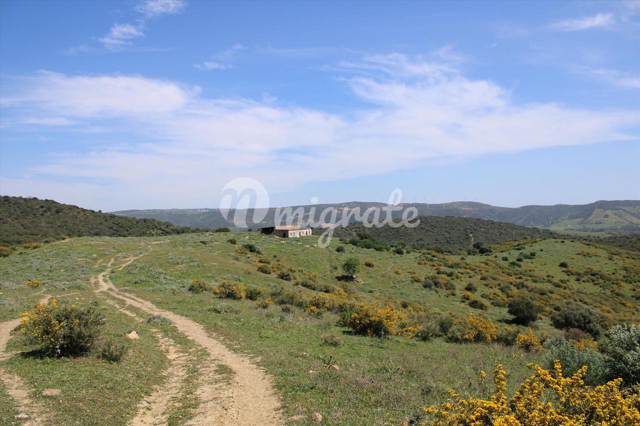 Земельный участок под застройку в San Martin del Tesorillo, Sotogrande, Andalucía