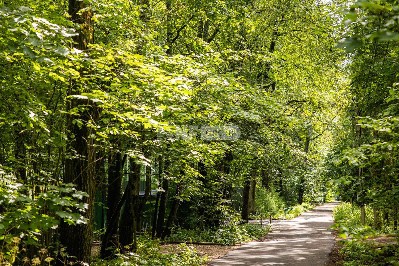 «Новодарьино» (Novodarino)