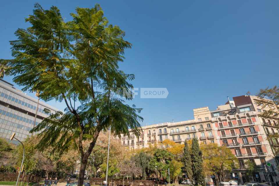 Офисное помещение в центральном районе Эшампле