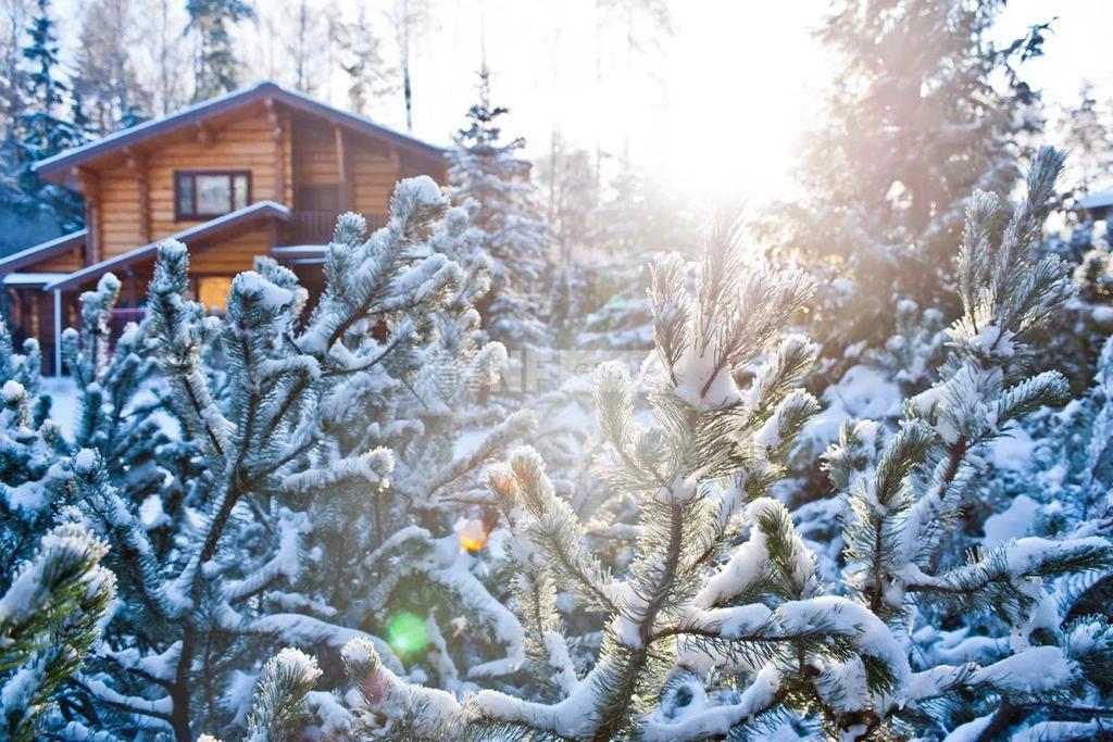 «Пушкинский Лес» (Пушкинский Лес)