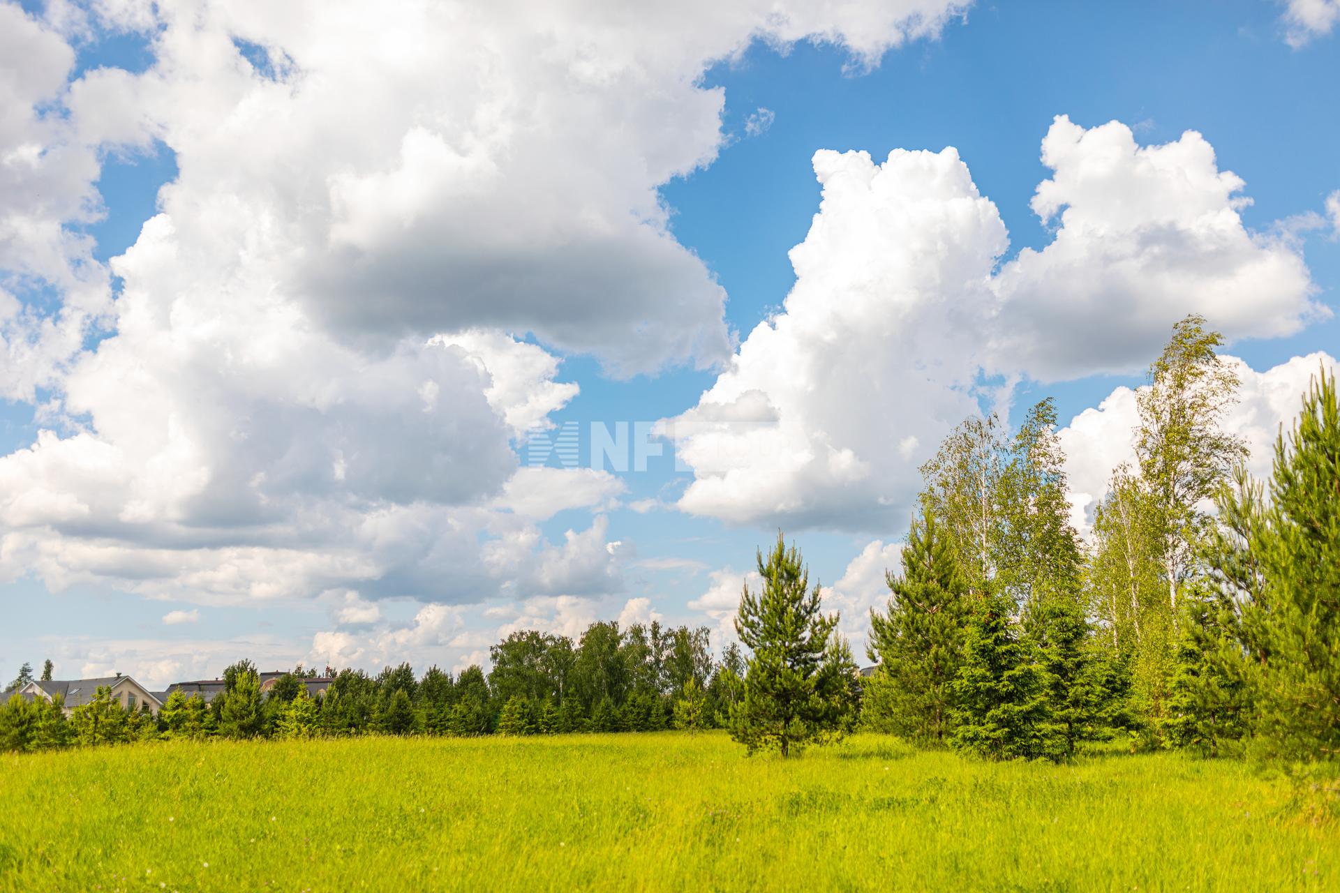 «Агаларов Эстэйт» (Agalarov Estate)