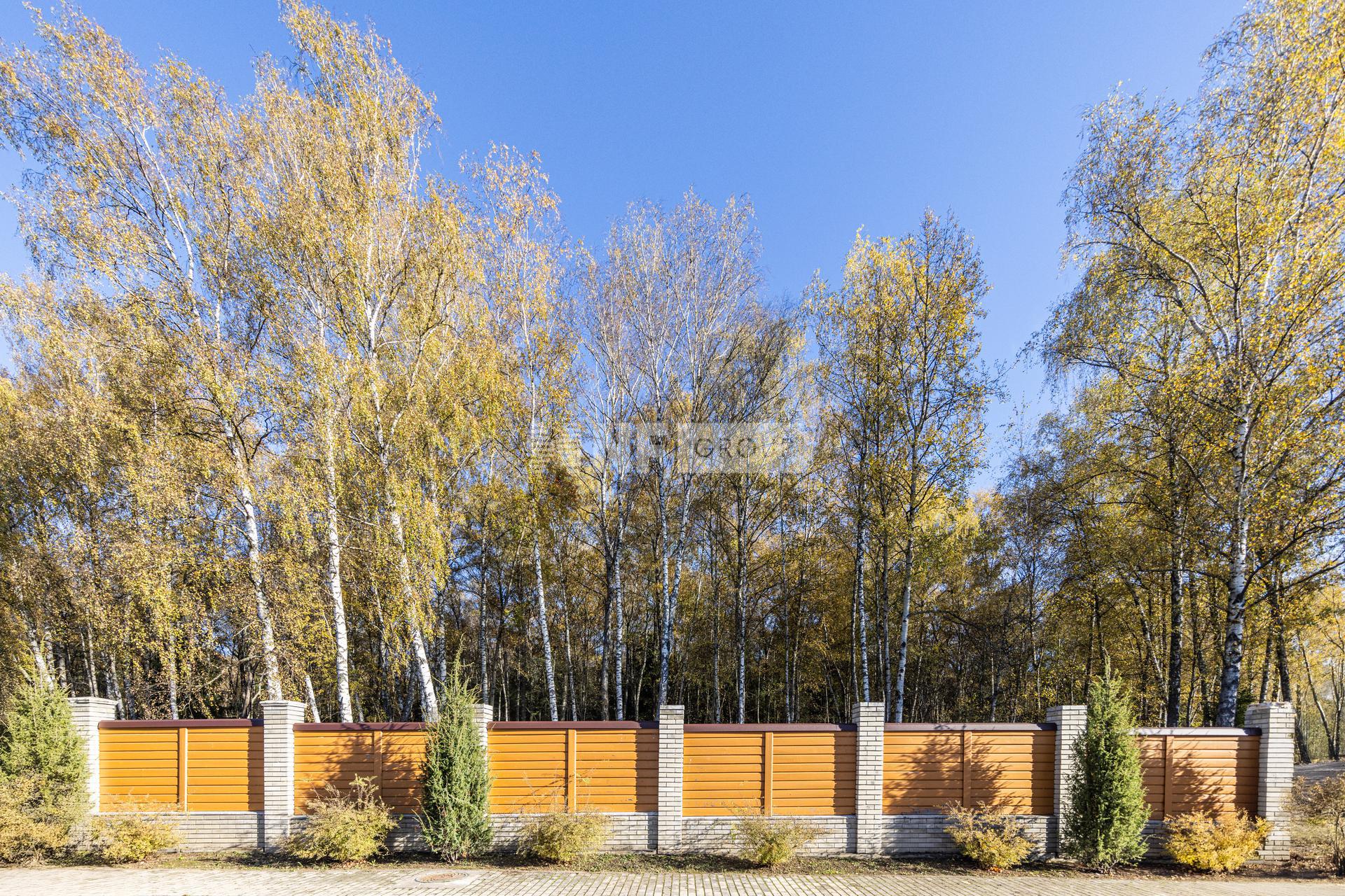 «Шелестово» (Shelestovo)