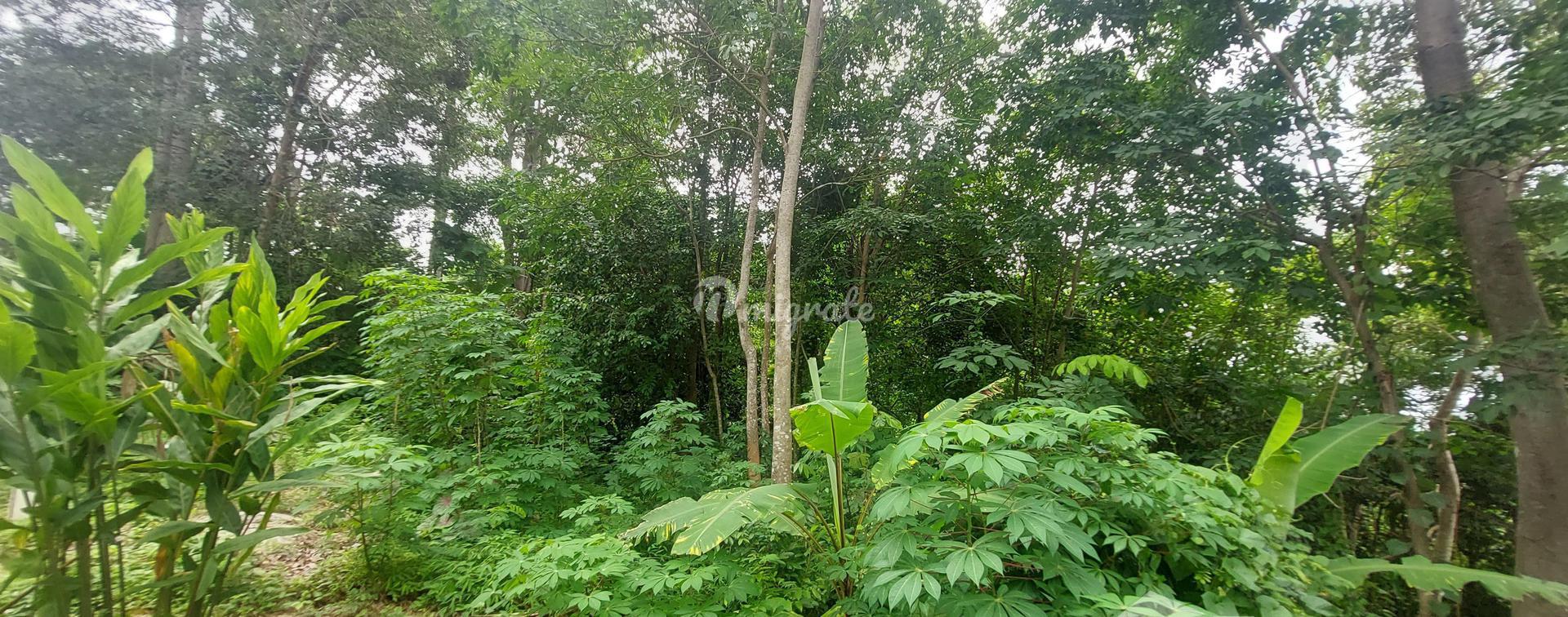 Земельный участок на продажу (1 Rai Land For Sale In The Mountain Chalong)