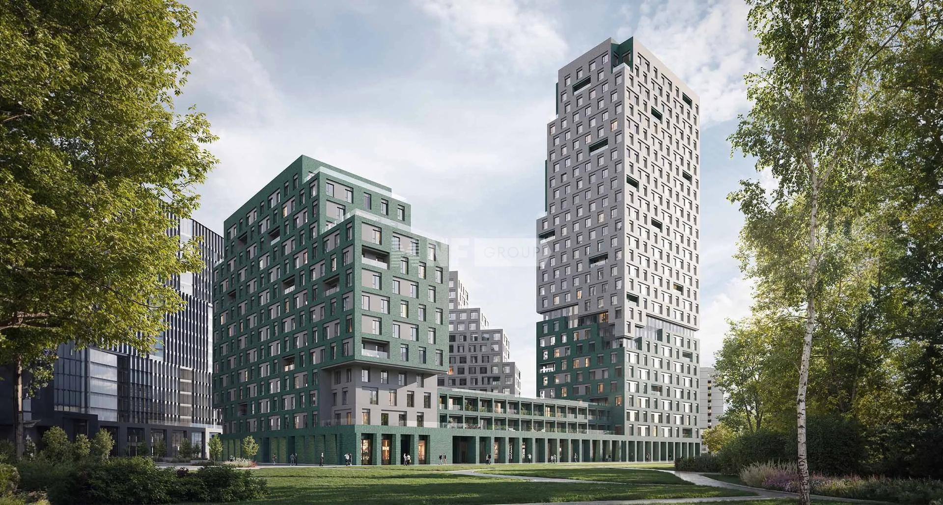 STONE Rise (Райз)