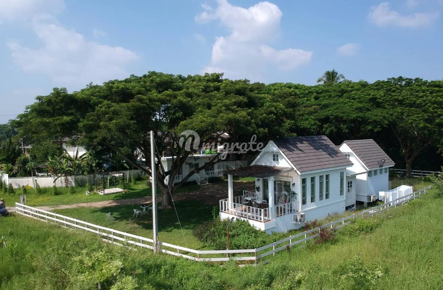 5 спален Гостиница на продажу (Hotel Resort for Sale in Chiangmai)