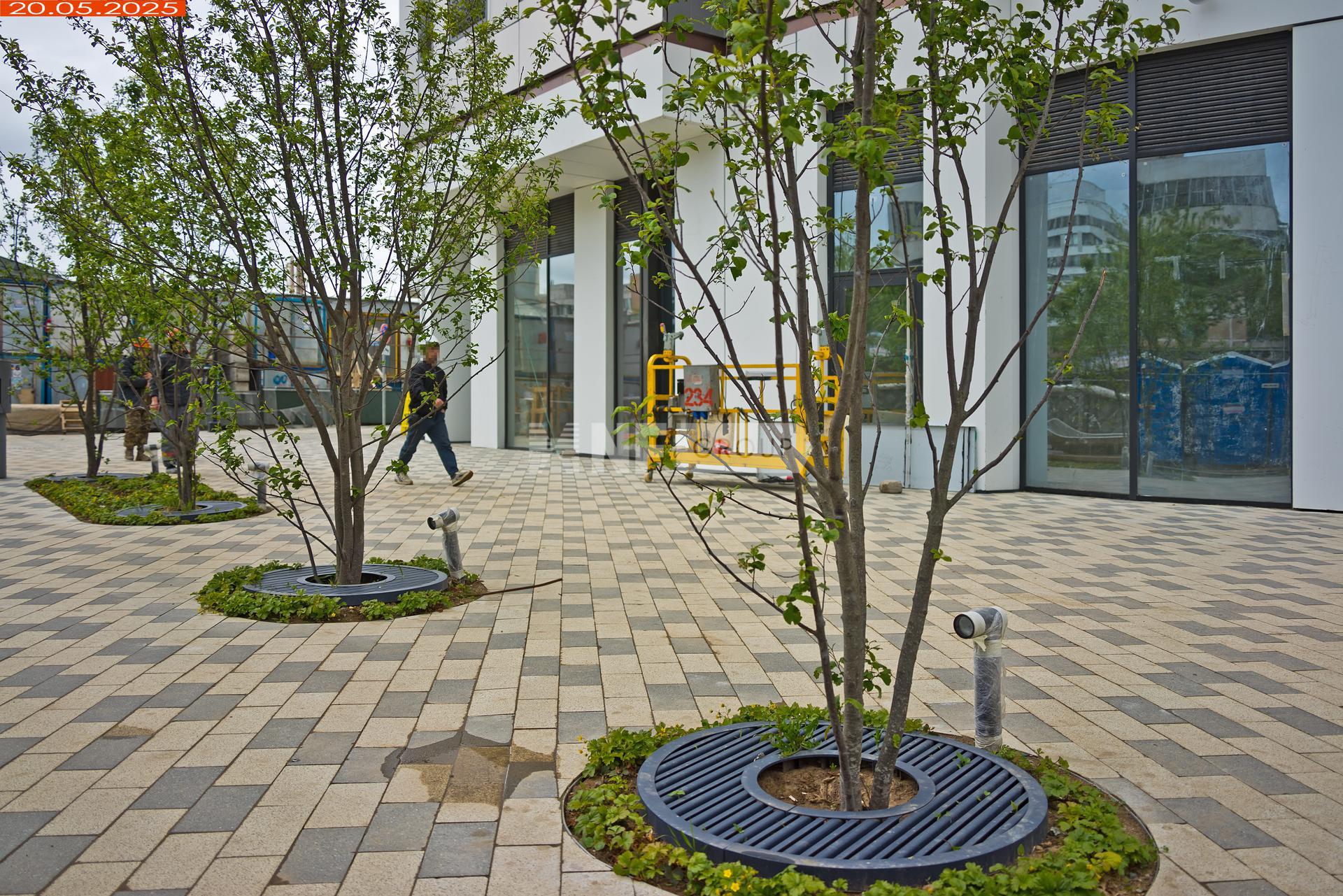 Май 2025 года