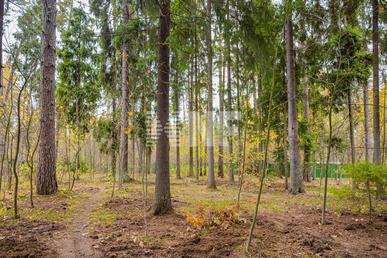 Земельный 🏠 участок 42 сот. в поселке Николина гора на  Рублево-Успенском шоссе, цена € 1.494 млн. | Лот ls9914449