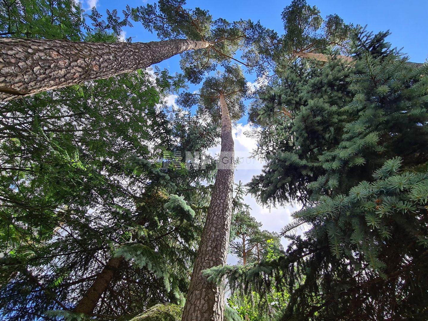 «Сареево 15-39» (Sareevo 15-39)