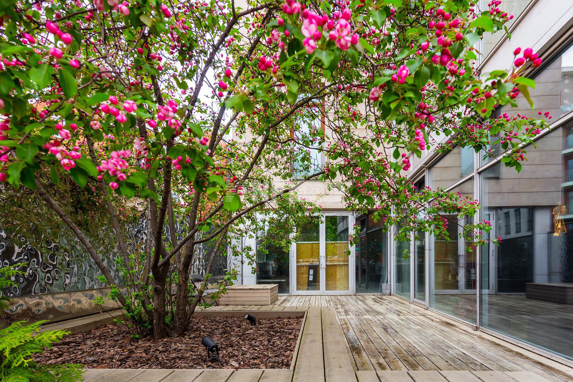 «Молочный переулок, 1» (Молочный переулок, 1)