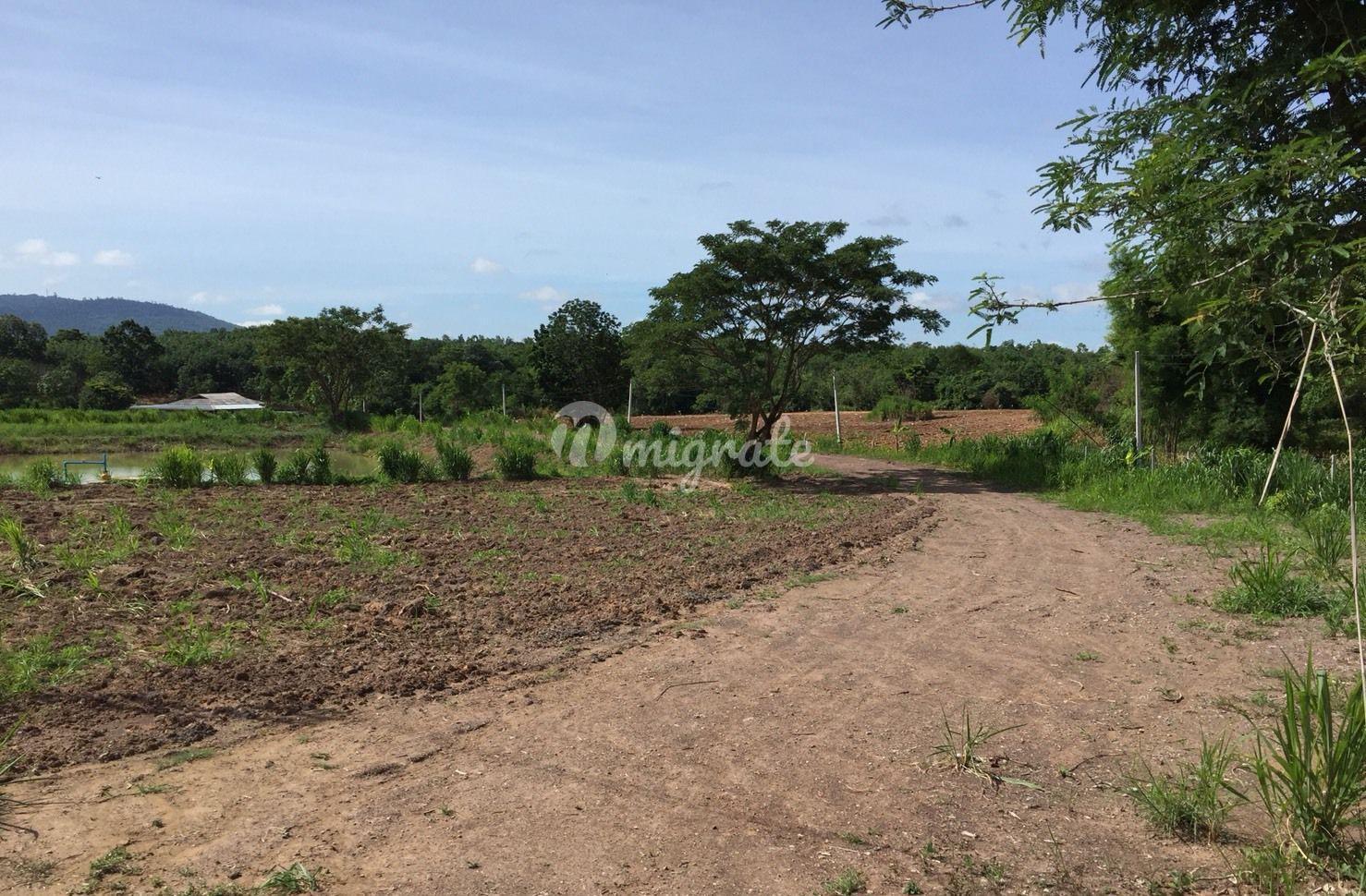 Земельный участок на продажу (Huge Land for Sale with Buildings In Wang Phai - Wang Nam Khiao)