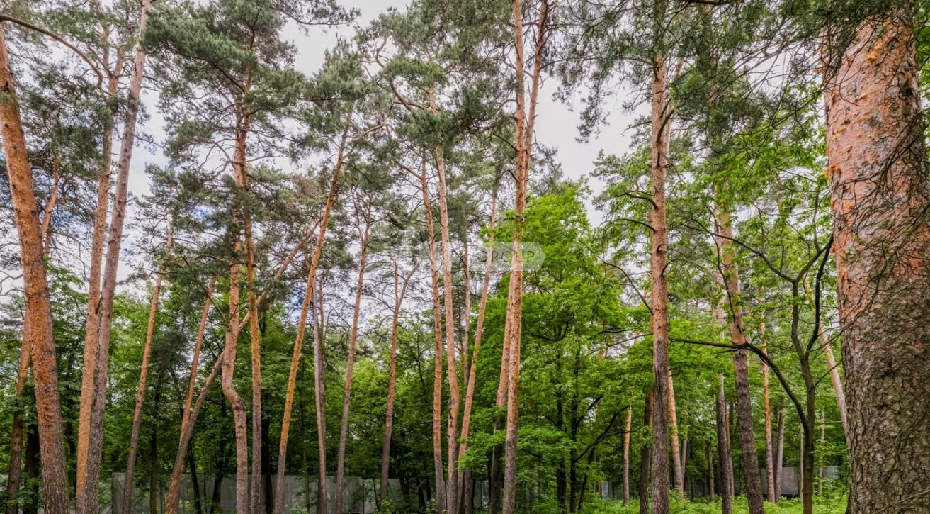 NF Group