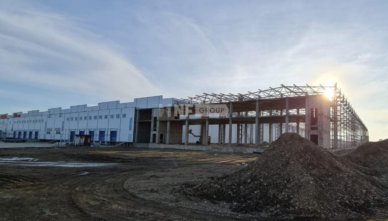 Логоцентр-Кубань