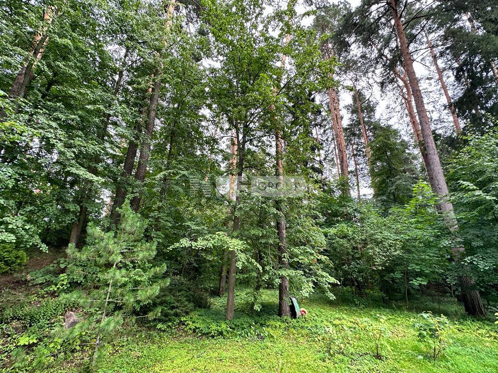 «Санаторий Поречье» (Sanatoriy Porechye)