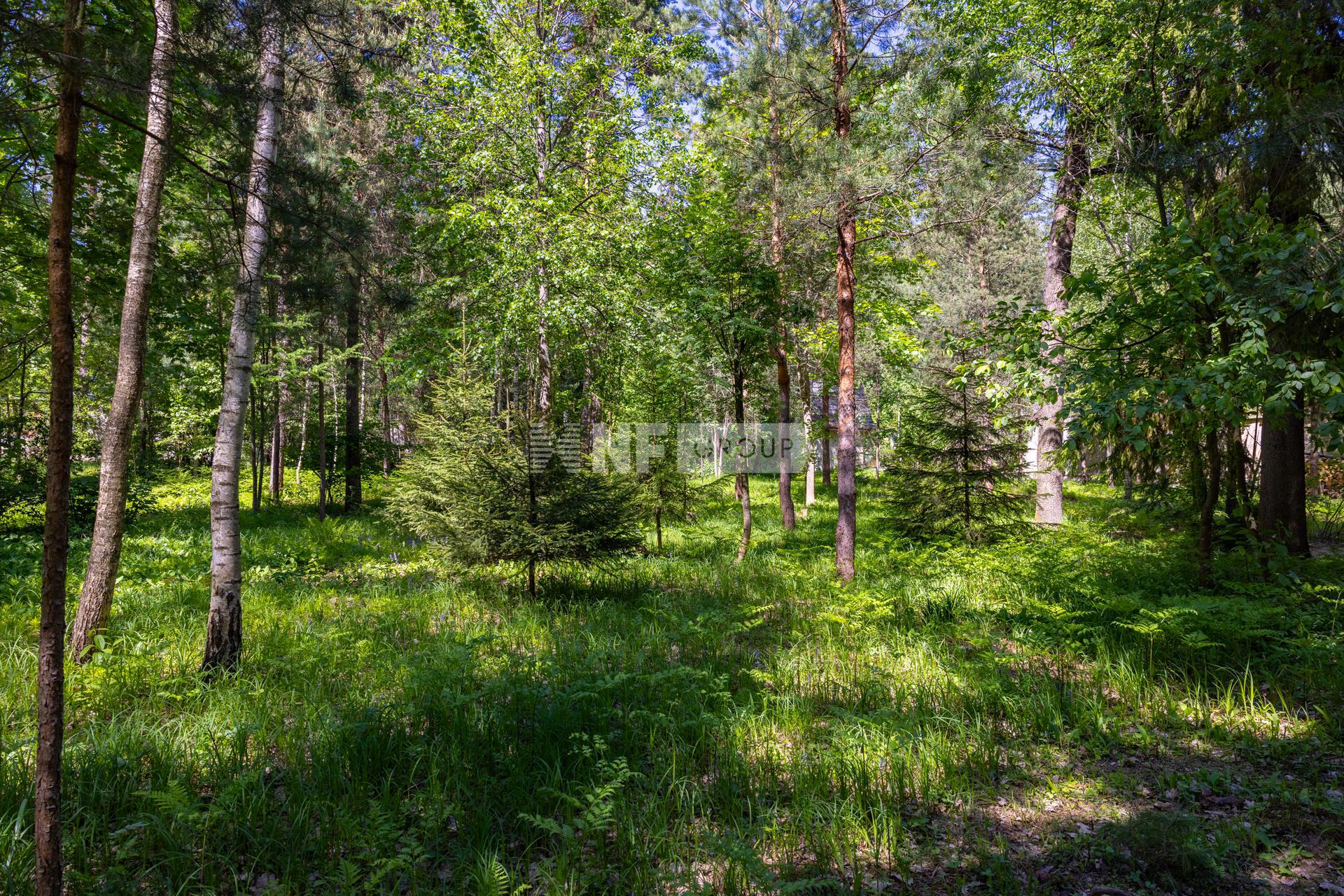 «Поречье ДСК» (Porechye DSK)