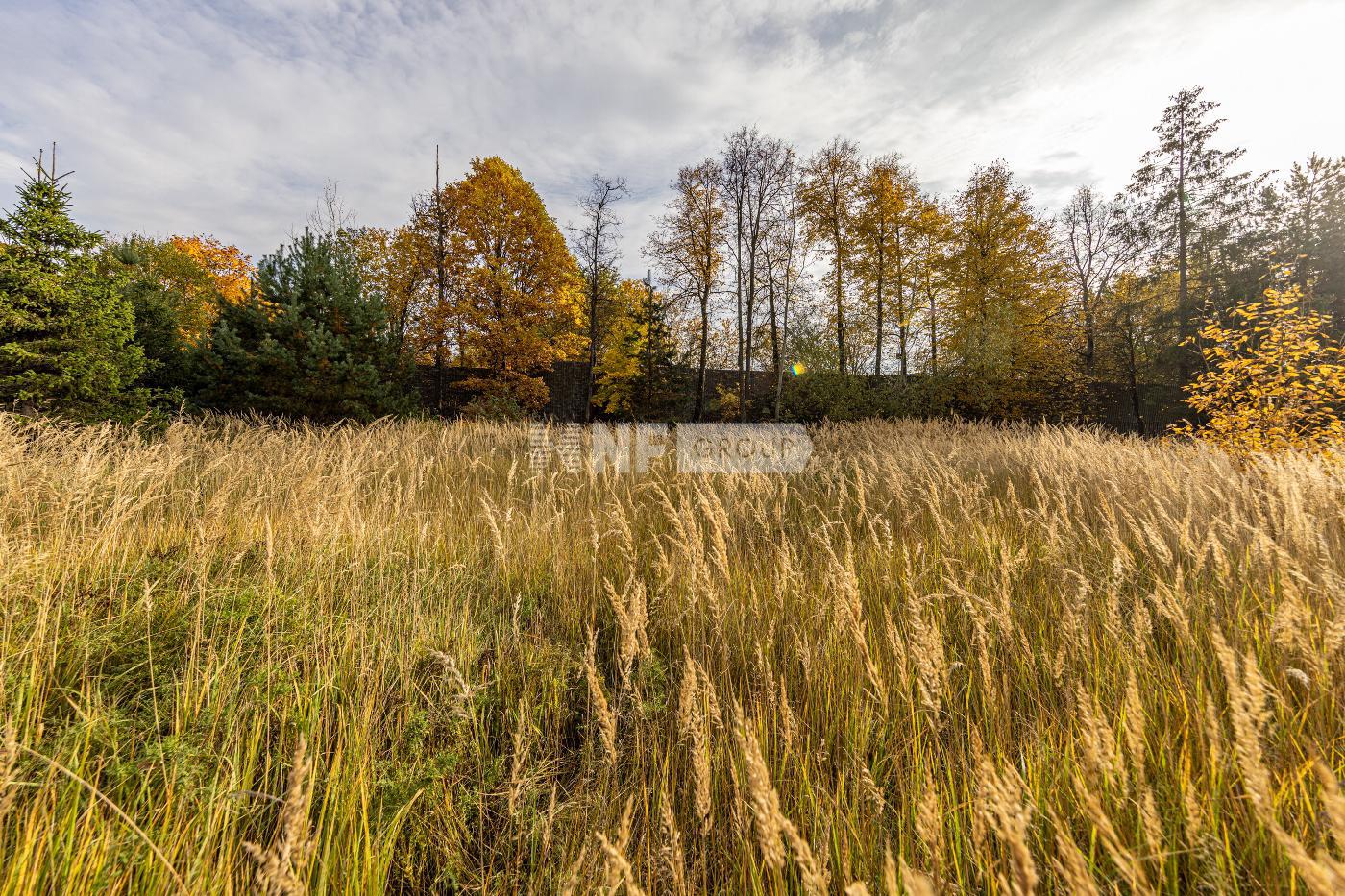 «Мэдисон Парк» (Madison Park)