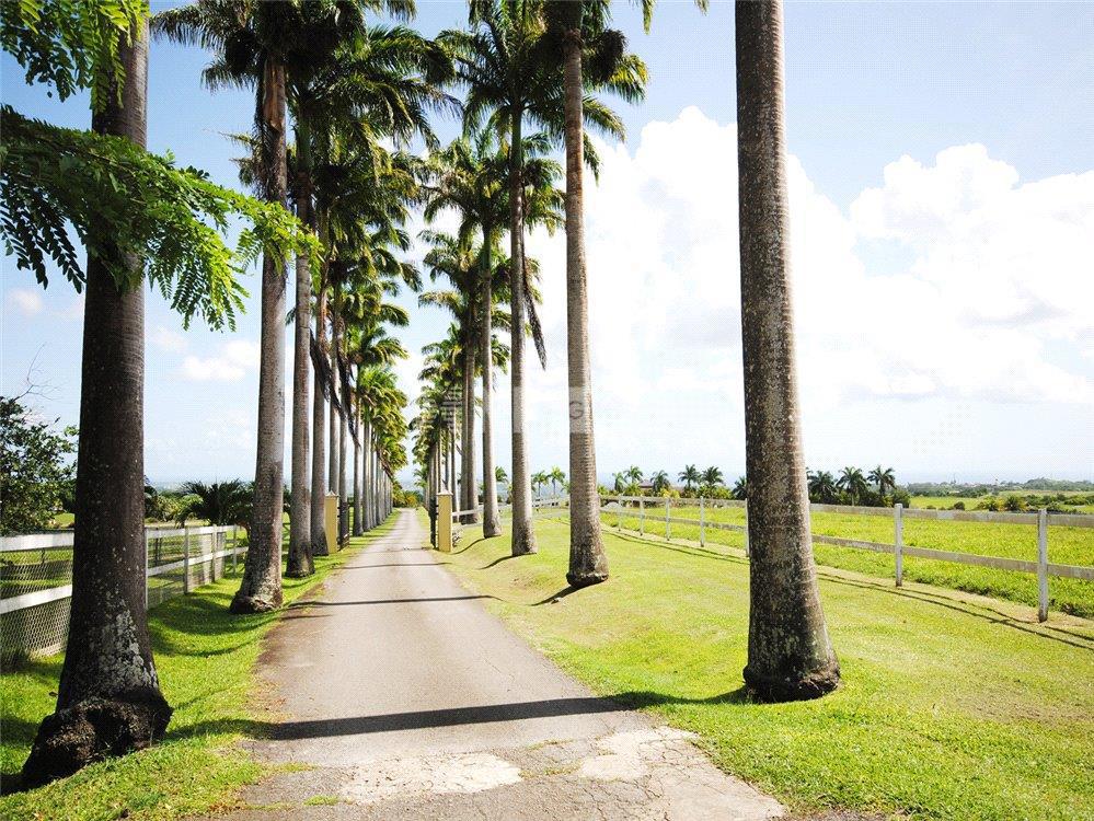 Поместье в Lion Castle, St Thomas