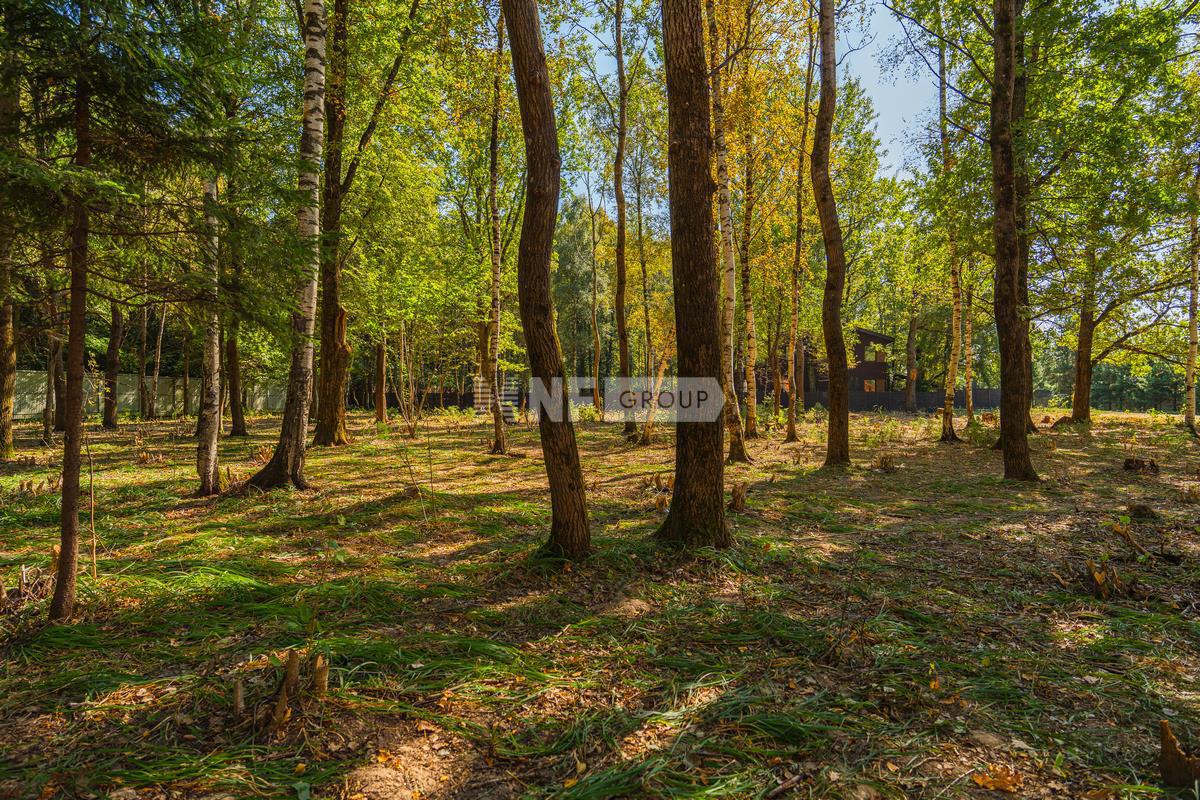 «Зеленые холмы» (Zelenye kholmy)