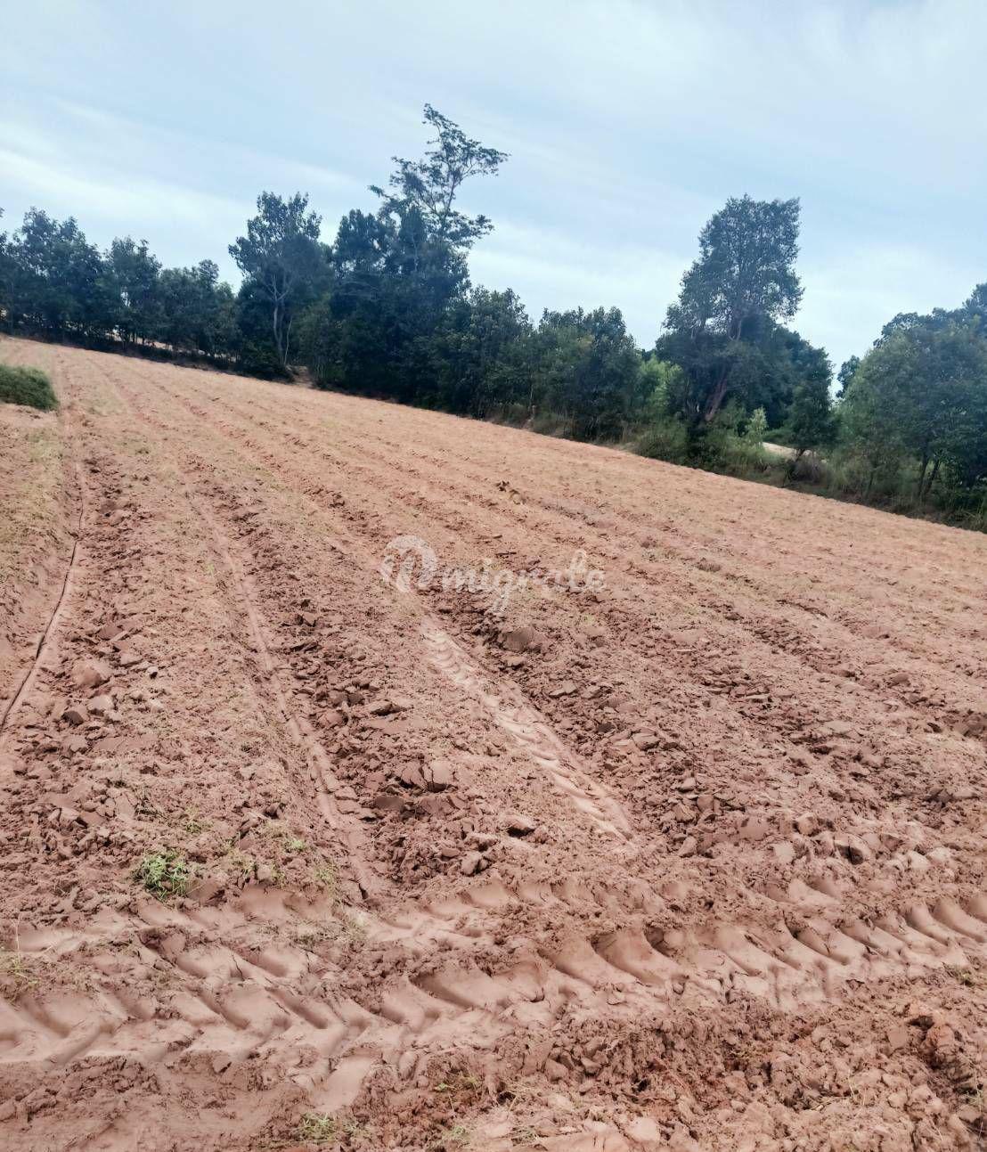 Земельный участок на продажу (4 Rai Land for Sale in Phayakkhaphum Phisai)