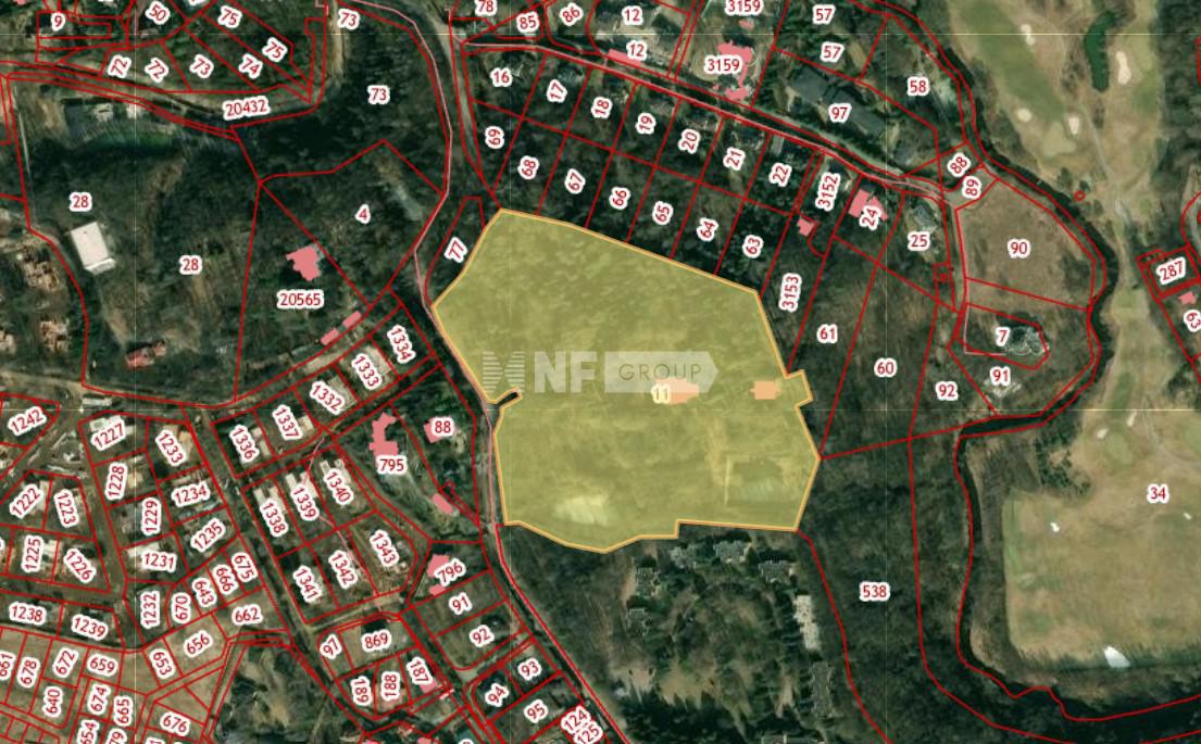 NF Group