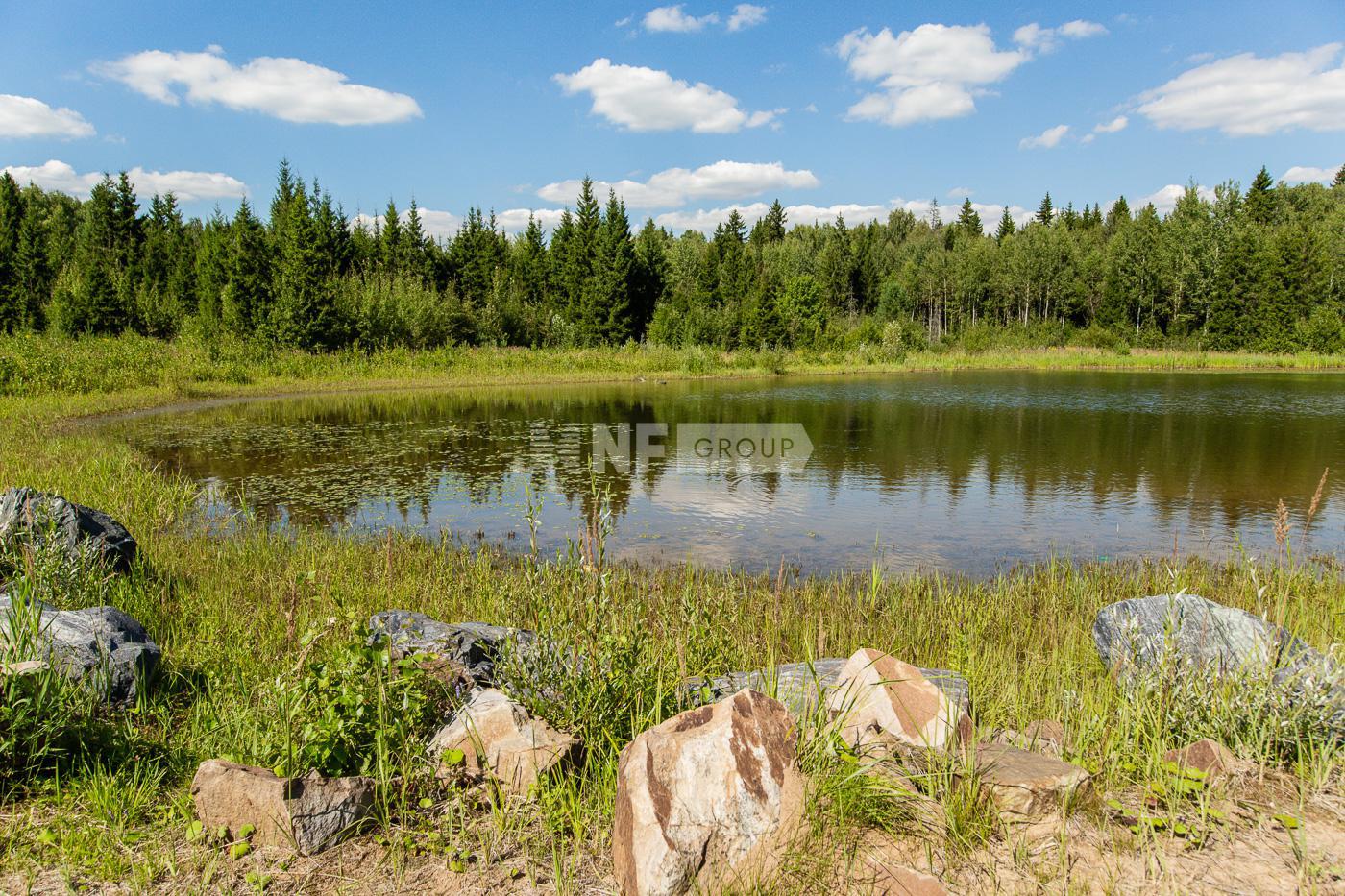 «Шелестово» (Shelestovo)