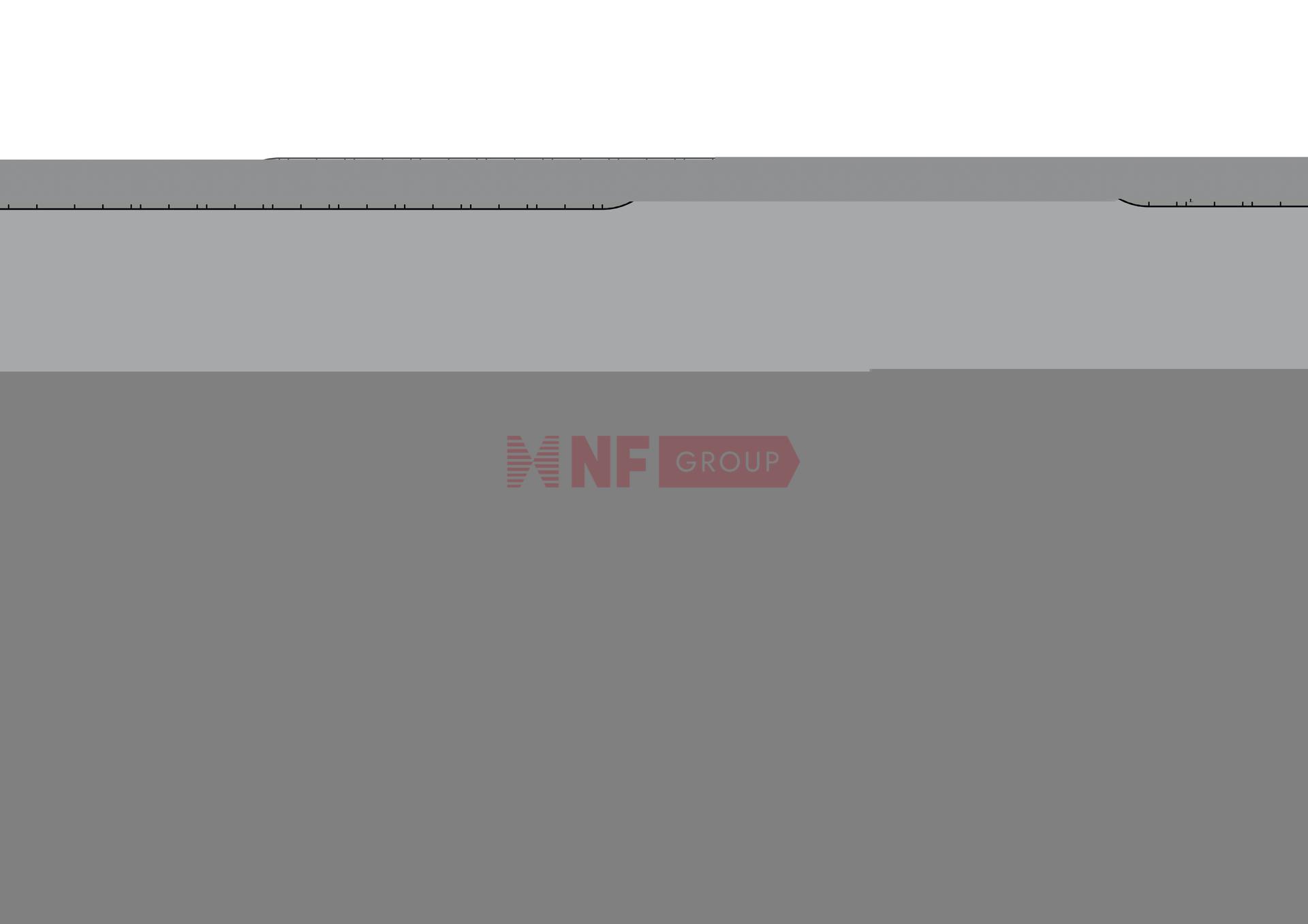 NF Group