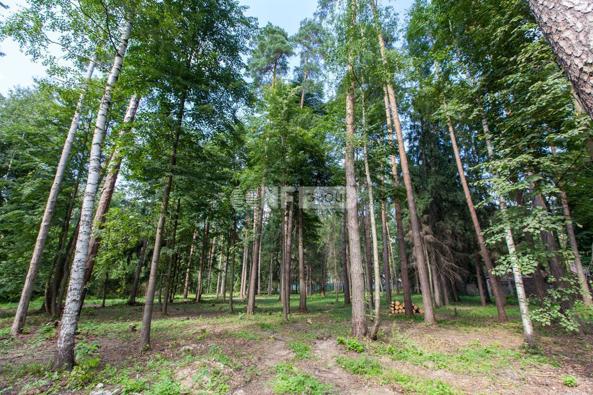 «Солослово » (Soloslovo )