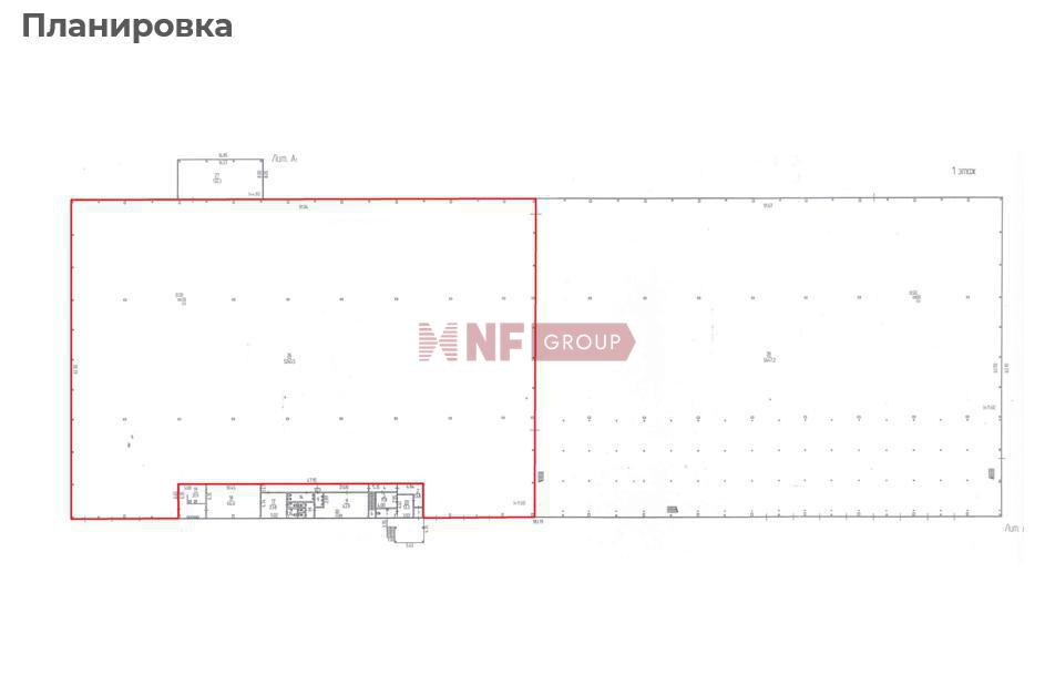 NF Group