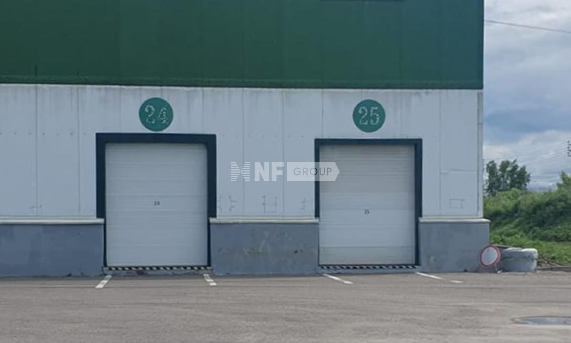 NF Group