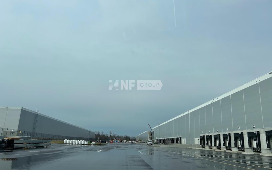 NF Group