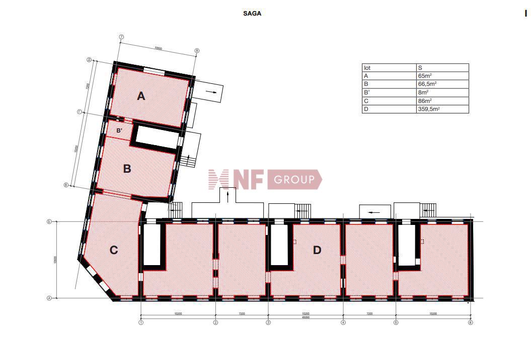 NF Group