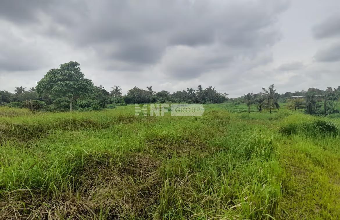 Prime 400sqm plot in seaside Nyanyi village for lease