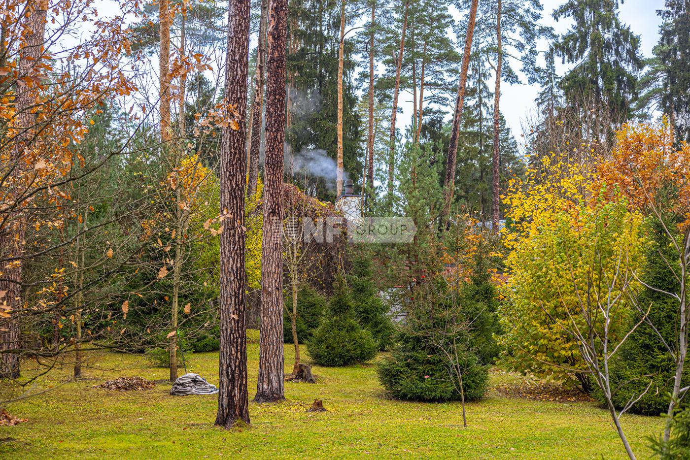 «Серебряный бор» (Serebryanyy bor)