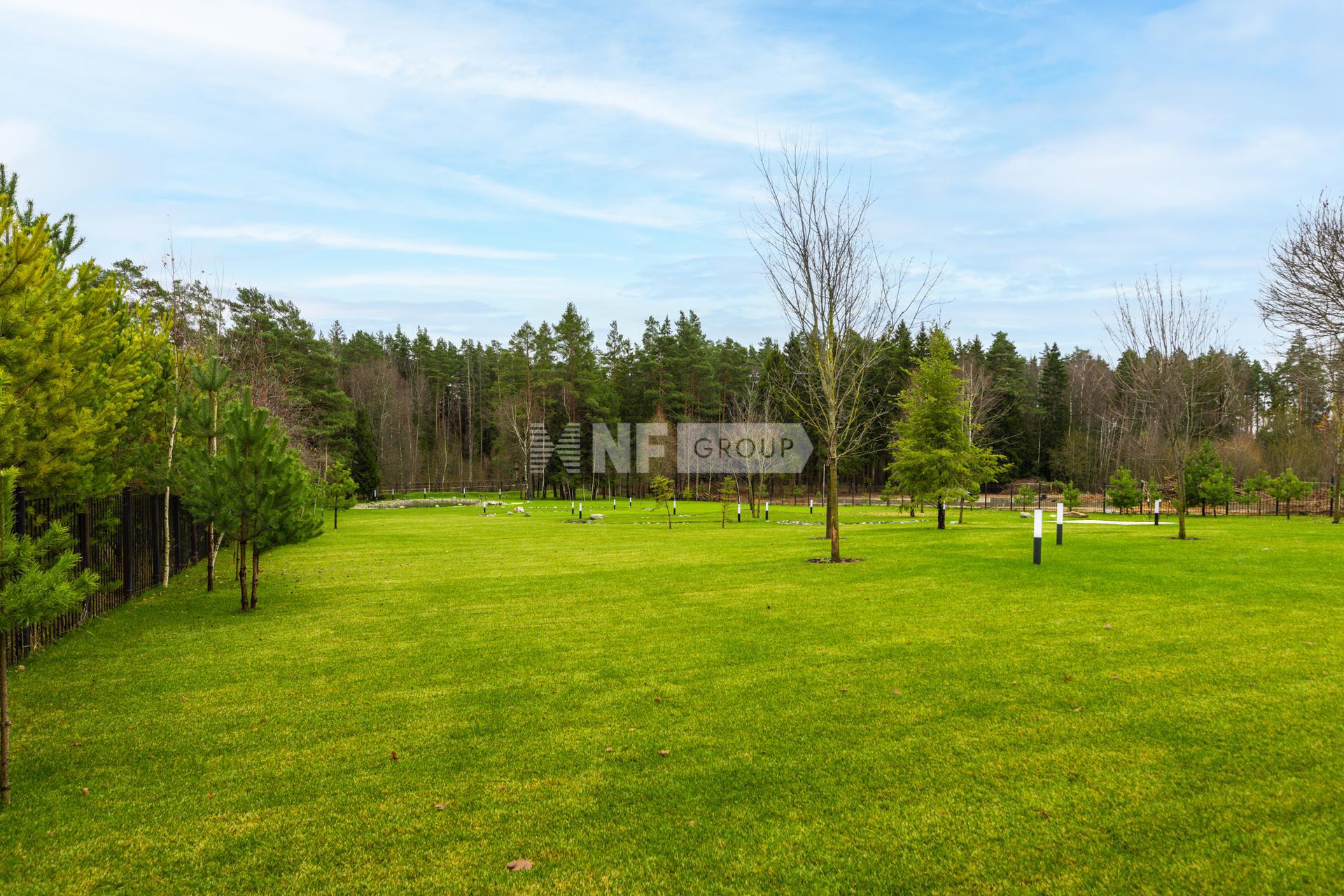 NF Group