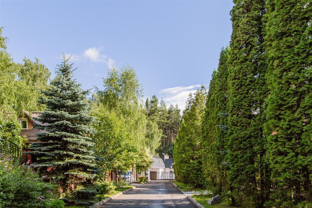 «Лес ДСК (Раздоры)» (Les DSK (Razdory))