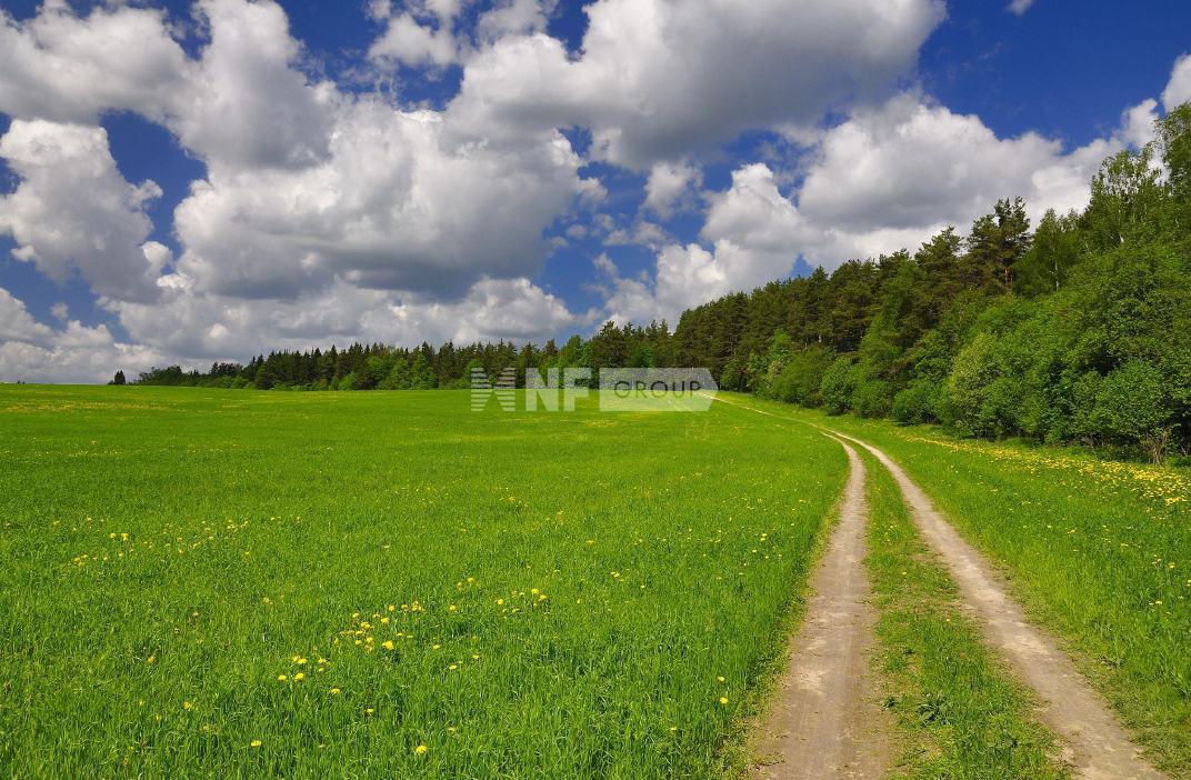 «Бузаево» (Buzaevo)