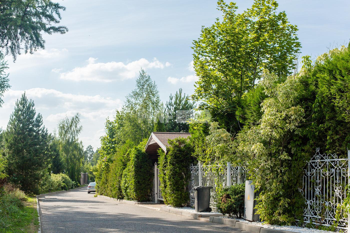 «ПЖСК Полесье» (Polese)