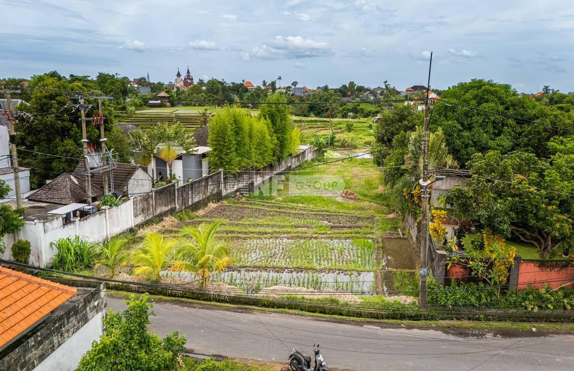 Rice field view land in Tumbak Bayuh for lease