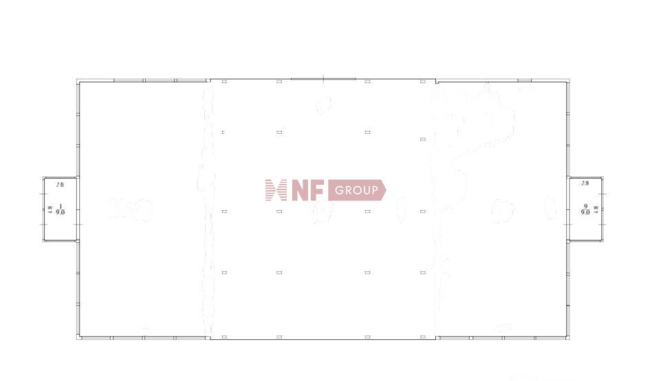 NF Group