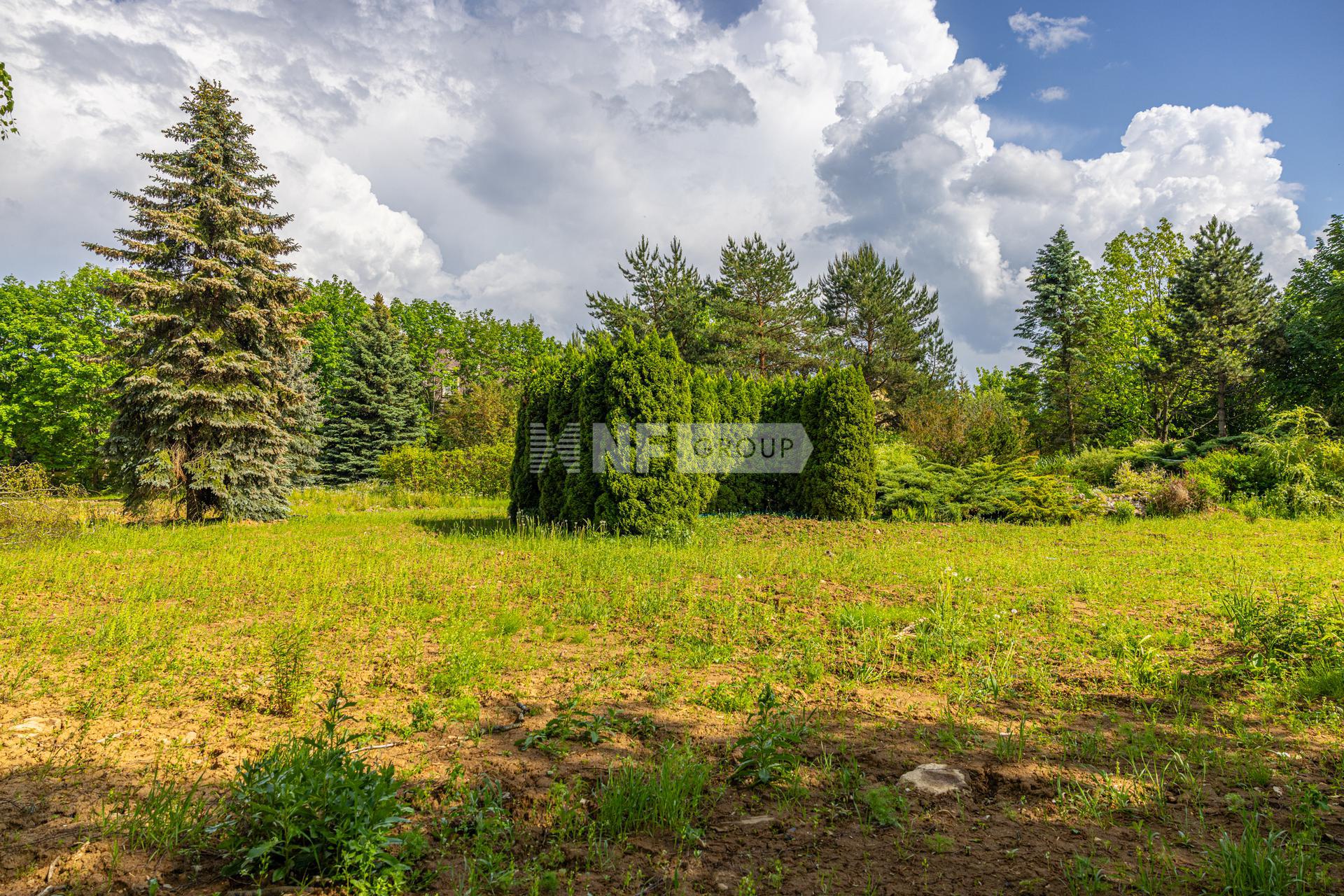 «Горки 8» (Gorki 8)