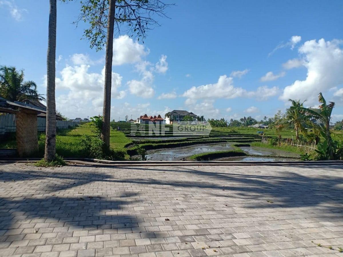 Stunning Large Beach Plot in Seseh – Canggu